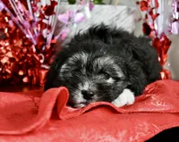 processed/5ca24492-2b8f-4f2e-aaff-8a46667c72d3/listing/ff34a638-0525-4897-a3af-5ed6a6bb140e/d812d964-2fd0-44a4-9f05-496cb7354349