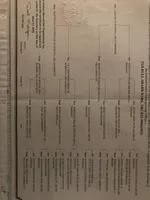 Fiji blue/red male UPDATED!!, a male American Bulldog for sale in Beaver Dam, KY – Photo 4 of 5