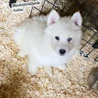 processed/5ca4fc2b-664b-488a-979d-0a454bd1d607/listing/33d8dd64-080e-4859-8e1b-8ceeab2f4ea9/187a9955-bb3f-4767-ae76-398c01a1cf83