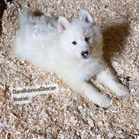 processed/5ca4fc2b-664b-488a-979d-0a454bd1d607/listing/33d8dd64-080e-4859-8e1b-8ceeab2f4ea9/4f670d19-ace0-40f2-ac63-cf901d9bd69b