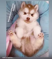 processed/5ca4fc2b-664b-488a-979d-0a454bd1d607/listing/5c57eb8e-a4af-4664-9123-10d01a41223c/9c6ba981-159d-470a-b186-bccaacb06123