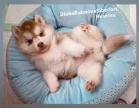 processed/5ca4fc2b-664b-488a-979d-0a454bd1d607/listing/5c57eb8e-a4af-4664-9123-10d01a41223c/df6afc92-339c-4bd2-a22d-3318636a5bc7