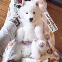 processed/5ca4fc2b-664b-488a-979d-0a454bd1d607/listing/77c50557-65cf-4ca8-aa61-f629a4a90d2a/48f28d4d-4b4c-4d64-b435-44081dd36f1d