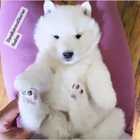 processed/5ca4fc2b-664b-488a-979d-0a454bd1d607/listing/77c50557-65cf-4ca8-aa61-f629a4a90d2a/f816e3e9-8e33-464b-9772-e77cff46cf53