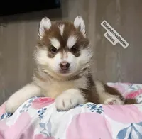 processed/5ca4fc2b-664b-488a-979d-0a454bd1d607/listing/79113677-9b98-45de-83e5-17a1cbd0aed6/afd1eaab-1f52-43de-87bf-2ec9511d3d1b