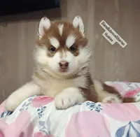 processed/5ca4fc2b-664b-488a-979d-0a454bd1d607/listing/79113677-9b98-45de-83e5-17a1cbd0aed6/c9de1c7e-6c4e-439f-b314-18b8f21add13