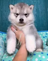 processed/5ca4fc2b-664b-488a-979d-0a454bd1d607/listing/a25a8b86-685d-4dd5-9d55-d8ee609805d9/97b2c106-f710-4fca-98d4-efa3d456d95f