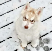 processed/5ca4fc2b-664b-488a-979d-0a454bd1d607/listing/ae4b2c13-f491-4ca9-a354-74995f03e3b7/a46fc064-0b50-433a-8530-c19af63a0317