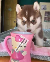 processed/5ca4fc2b-664b-488a-979d-0a454bd1d607/listing/d139dc05-f56c-4aa7-ab0b-b19eb9601607/508ad9a9-98cd-4a29-b8a2-804ede1fb718