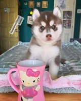 processed/5ca4fc2b-664b-488a-979d-0a454bd1d607/listing/d139dc05-f56c-4aa7-ab0b-b19eb9601607/61b1f878-0831-4822-af40-5ce30c247f74