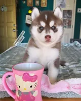 processed/5ca4fc2b-664b-488a-979d-0a454bd1d607/listing/d139dc05-f56c-4aa7-ab0b-b19eb9601607/d3b5b4a7-a796-44f9-965a-ff6d1e2dc420