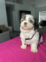 processed/5ca93bdb-1c86-4253-bd14-74b07817dc79/listing/e7f9a4fc-2d74-47e8-af2e-c2250d16017e/1445bdf9-f98c-4258-bb5f-da5048e814bf