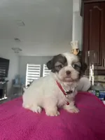 processed/5ca93bdb-1c86-4253-bd14-74b07817dc79/listing/e7f9a4fc-2d74-47e8-af2e-c2250d16017e/29e63e55-c508-4a5c-8840-e77a34cac807