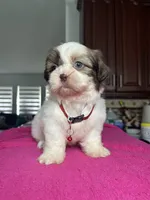 processed/5ca93bdb-1c86-4253-bd14-74b07817dc79/listing/e7f9a4fc-2d74-47e8-af2e-c2250d16017e/94830916-5b27-4afb-a708-27cafb94f2be