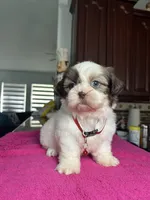 processed/5ca93bdb-1c86-4253-bd14-74b07817dc79/listing/e7f9a4fc-2d74-47e8-af2e-c2250d16017e/c82ffb91-1e89-4212-85df-ba11431c59f5