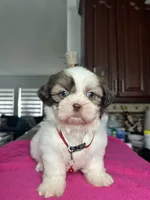 processed/5ca93bdb-1c86-4253-bd14-74b07817dc79/listing/e7f9a4fc-2d74-47e8-af2e-c2250d16017e/cb621df6-2790-4d3a-8b9a-a0cfd7babcbd