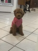 processed/5caf4520-3c4f-43d6-b71e-52616c977e25/listing/d7da8539-08af-4a53-832a-c2227254bc0d/265966a1-0621-4666-8c7f-acc474e8ddad