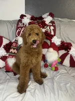 processed/5caf4520-3c4f-43d6-b71e-52616c977e25/listing/d7da8539-08af-4a53-832a-c2227254bc0d/8513e624-b08e-4fea-bf56-995e5f5d257f