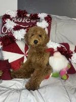 processed/5caf4520-3c4f-43d6-b71e-52616c977e25/listing/d7da8539-08af-4a53-832a-c2227254bc0d/c1e3b0dc-a9a2-4da9-ad37-7a85377b7951