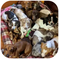 processed/5cbc85cb-7215-42dd-bf5c-fd50aabfbe2d/facility/bc175427-3a6f-47b1-bb94-46c5ca001251