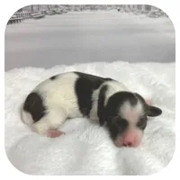 processed/5cbc85cb-7215-42dd-bf5c-fd50aabfbe2d/listing/edc78736-e9be-447e-b555-871a5c0e7777/11e08175-1973-47da-bf01-7925a61400c3