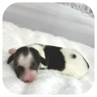 processed/5cbc85cb-7215-42dd-bf5c-fd50aabfbe2d/listing/edc78736-e9be-447e-b555-871a5c0e7777/1559e4cb-8c55-4c17-8ba4-eddf1ae21bcf