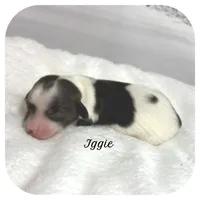 processed/5cbc85cb-7215-42dd-bf5c-fd50aabfbe2d/listing/edc78736-e9be-447e-b555-871a5c0e7777/205b3624-bb63-4a3c-9ad1-73c6e036c4f2