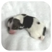 processed/5cbc85cb-7215-42dd-bf5c-fd50aabfbe2d/listing/edc78736-e9be-447e-b555-871a5c0e7777/707c9d30-0444-4480-a26d-6be8fe968277