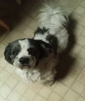 processed/5cc15e6b-c2be-4f12-a7ac-c4077f0ec5b0/listing/464475ac-639c-46cf-a166-45019717921a/19334590-b43b-42a0-8696-80920cbb70eb