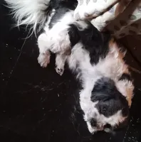 processed/5cc15e6b-c2be-4f12-a7ac-c4077f0ec5b0/listing/464475ac-639c-46cf-a166-45019717921a/2dbd487a-8d3e-4bb8-bd12-0b5fbc042adb