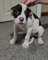 processed/5cc9f81a-7eef-42a5-bc7b-569f755c1058/listing/8e865262-f0f7-47cc-b1a0-906005c4421a/39d65fee-cb08-4c56-9227-93281c04e797