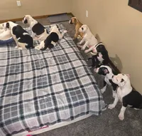 processed/5cc9f81a-7eef-42a5-bc7b-569f755c1058/listing/8e865262-f0f7-47cc-b1a0-906005c4421a/651e1ec5-b5d2-45b8-b447-cc92df1667f8