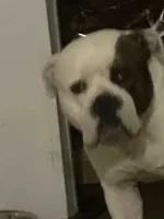 processed/5cc9f81a-7eef-42a5-bc7b-569f755c1058/listing/8e865262-f0f7-47cc-b1a0-906005c4421a/75a9206d-52ab-413c-b30a-c321a7080b42