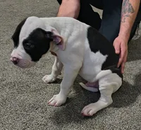 processed/5cc9f81a-7eef-42a5-bc7b-569f755c1058/listing/8e865262-f0f7-47cc-b1a0-906005c4421a/8a00a7c4-da95-4304-8b65-990271016d2b