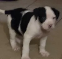 processed/5cc9f81a-7eef-42a5-bc7b-569f755c1058/listing/d0e7c1a3-9058-4e70-9557-b4342e80502a/99f0770b-3bdd-40b6-813d-e037cee9898a