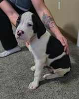 processed/5cc9f81a-7eef-42a5-bc7b-569f755c1058/listing/d0e7c1a3-9058-4e70-9557-b4342e80502a/f404210d-8b94-4b5e-b836-36aa09f78729