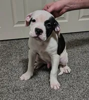 processed/5cc9f81a-7eef-42a5-bc7b-569f755c1058/listing/d0e7c1a3-9058-4e70-9557-b4342e80502a/fc5cba3c-0845-4b66-b953-46618dda96bc