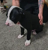 processed/5cc9f81a-7eef-42a5-bc7b-569f755c1058/listing/d6674c14-cad0-47c5-939f-add78af1b518/4904d7ea-0760-44dd-aaf9-0de3ac3d8399