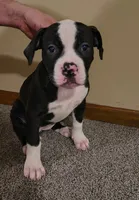 processed/5cc9f81a-7eef-42a5-bc7b-569f755c1058/listing/d6674c14-cad0-47c5-939f-add78af1b518/52f4daaf-fba0-4382-b3e0-1b2bcde419bf