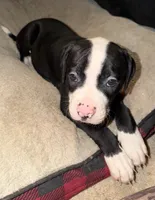 processed/5cc9f81a-7eef-42a5-bc7b-569f755c1058/listing/d6674c14-cad0-47c5-939f-add78af1b518/a9e7a47c-a022-4c9b-86b8-2b567976c6da