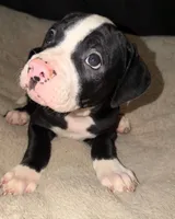 processed/5cc9f81a-7eef-42a5-bc7b-569f755c1058/listing/d6674c14-cad0-47c5-939f-add78af1b518/b0ce4415-f7e8-4315-9423-8f00c8dc041d