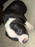 processed/5cc9f81a-7eef-42a5-bc7b-569f755c1058/listing/d6674c14-cad0-47c5-939f-add78af1b518/be45ee85-47e2-47a0-a6e8-2d7ed6076ee1