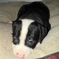 processed/5cc9f81a-7eef-42a5-bc7b-569f755c1058/listing/d6674c14-cad0-47c5-939f-add78af1b518/c87ac7f2-72d1-4a5d-a065-163d8011578b