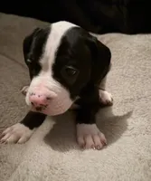 processed/5cc9f81a-7eef-42a5-bc7b-569f755c1058/listing/d6674c14-cad0-47c5-939f-add78af1b518/f56a1edd-f9d0-4d85-a3a9-d563ce6edd1c