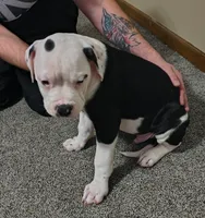 processed/5cc9f81a-7eef-42a5-bc7b-569f755c1058/listing/fbf8b7f5-76ed-4ec9-9b53-d40d12140256/25fd7b29-ed09-4a99-8d3a-16e553dc55af