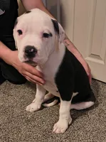 processed/5cc9f81a-7eef-42a5-bc7b-569f755c1058/listing/fbf8b7f5-76ed-4ec9-9b53-d40d12140256/449af324-d01d-4ffa-b501-9da2d8970bd5