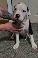 processed/5cc9f81a-7eef-42a5-bc7b-569f755c1058/listing/fbf8b7f5-76ed-4ec9-9b53-d40d12140256/5d74a2d2-e259-4c59-a824-83281bc6d049