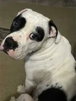 processed/5cc9f81a-7eef-42a5-bc7b-569f755c1058/listing/fbf8b7f5-76ed-4ec9-9b53-d40d12140256/64f8dfad-65b0-4ed4-bb8f-8ac654bcf1f7