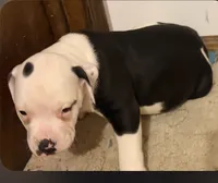 processed/5cc9f81a-7eef-42a5-bc7b-569f755c1058/listing/fbf8b7f5-76ed-4ec9-9b53-d40d12140256/6bf89239-d147-4031-a7eb-3b763f04b61e