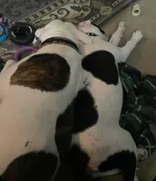 processed/5cc9f81a-7eef-42a5-bc7b-569f755c1058/listing/fbf8b7f5-76ed-4ec9-9b53-d40d12140256/988c4e16-39f4-4ffc-b31b-84c6037fdf31